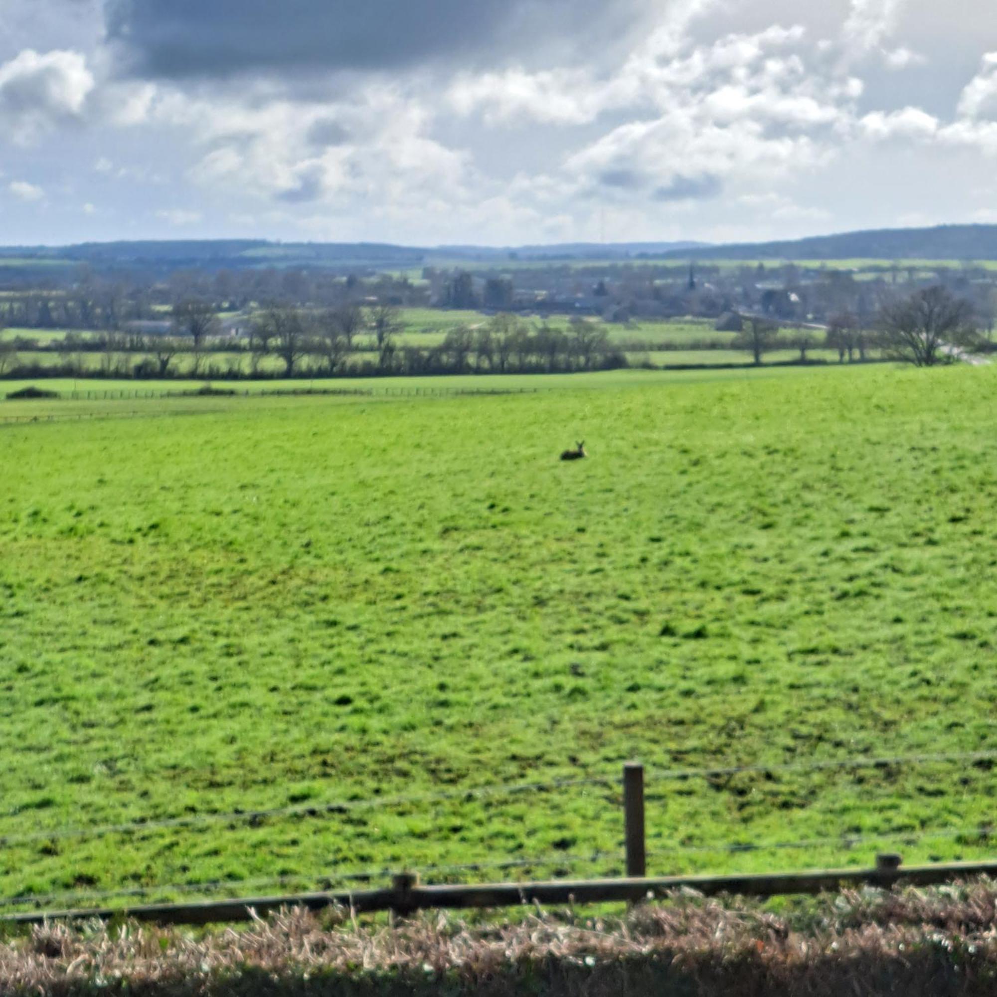 Maison De Charme En Campagne, 5 Min Du Haras Du Pin Nonant-le-Pin ภายนอก รูปภาพ