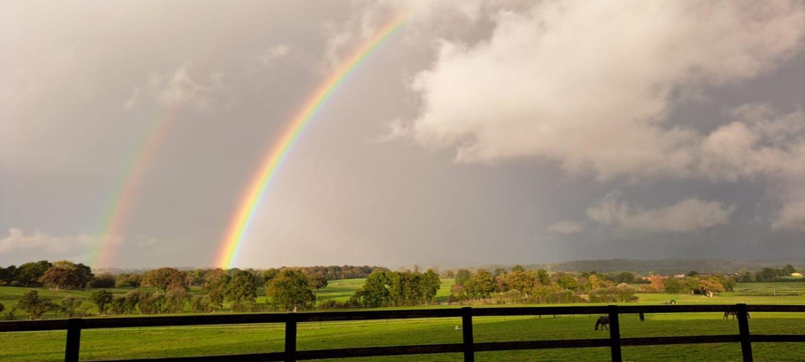 Maison De Charme En Campagne, 5 Min Du Haras Du Pin Nonant-le-Pin ภายนอก รูปภาพ